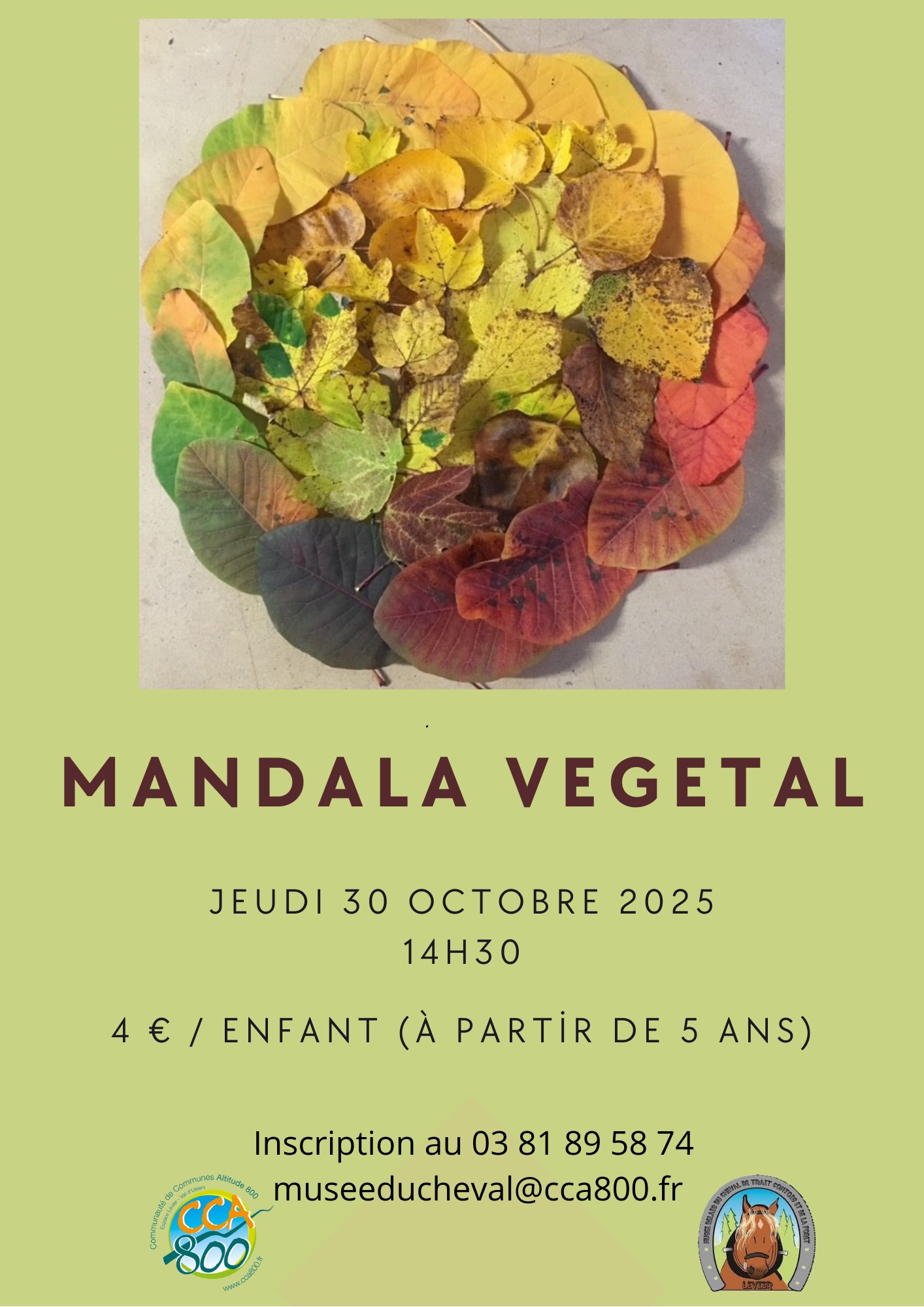 atelier mandala automne 2025.jpeg