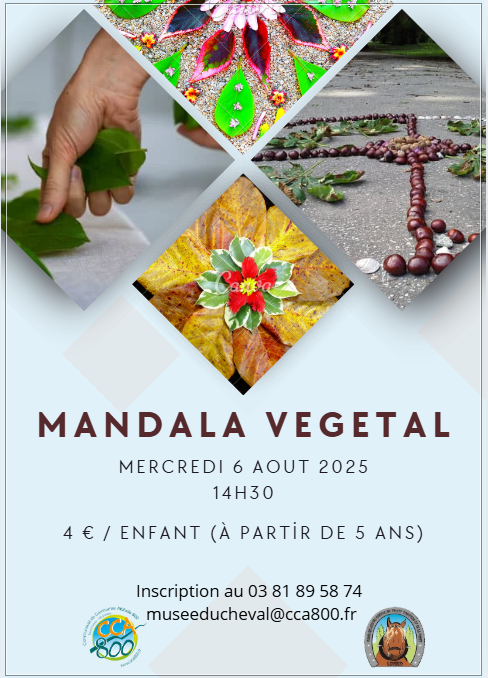 animation_mandala_6 aout.png