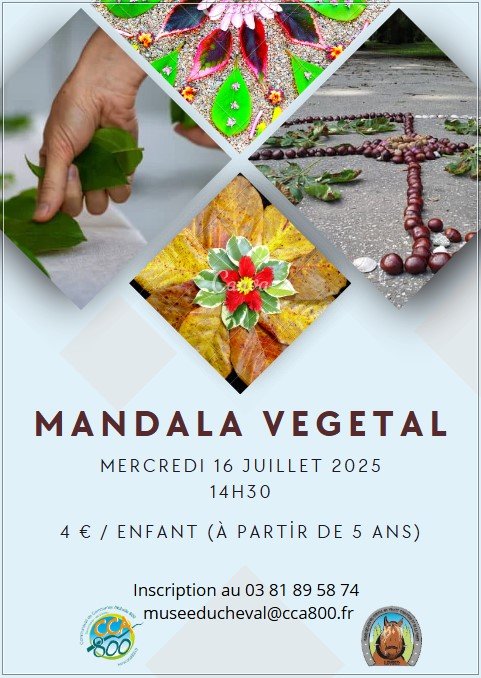 animation_mandala_16 juillet.jpeg