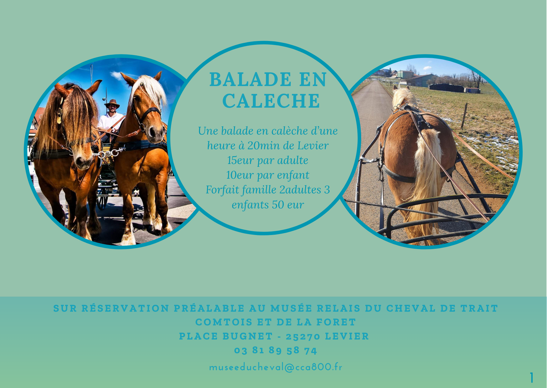 Copie de Certificat cadeau de photographie nature rayé turquoise turquoise.png