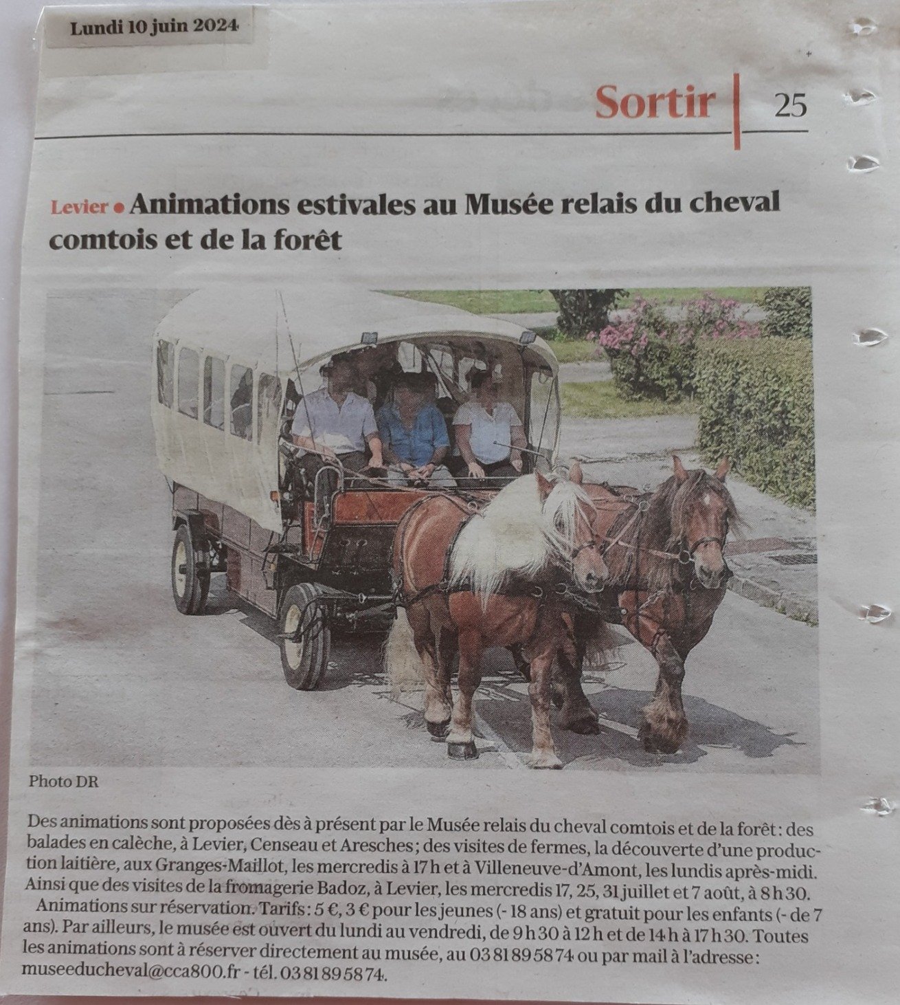 thumbnail_Article du 10.06.24 Animations d_été.jpg