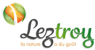 Leztroy logo.jpg