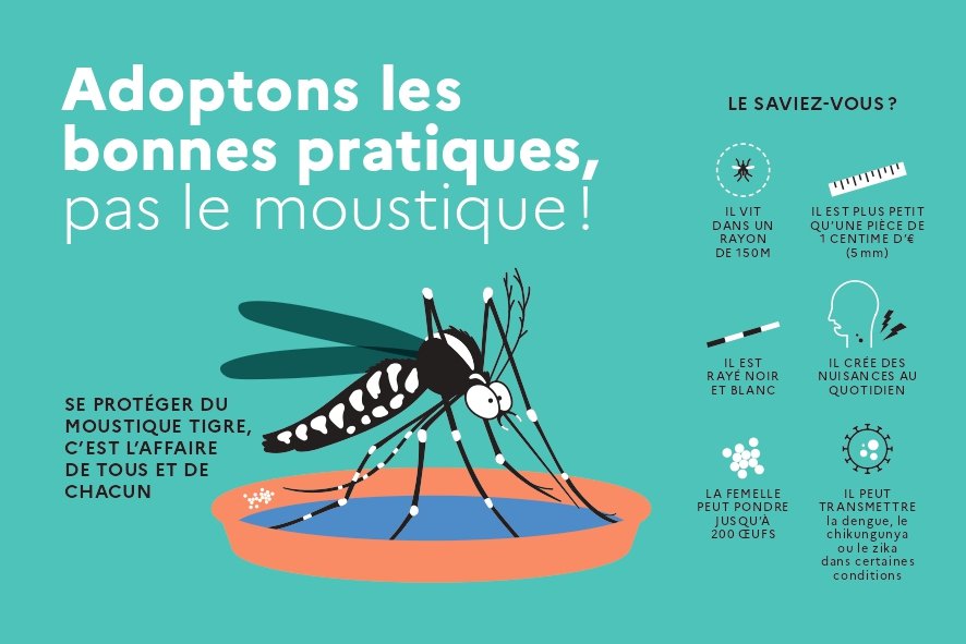 20231206_ARS22_MOUSTIQUE-TIGRE_FLYER-150x100mm_BAT_pages-to-jpg-0001.jpg