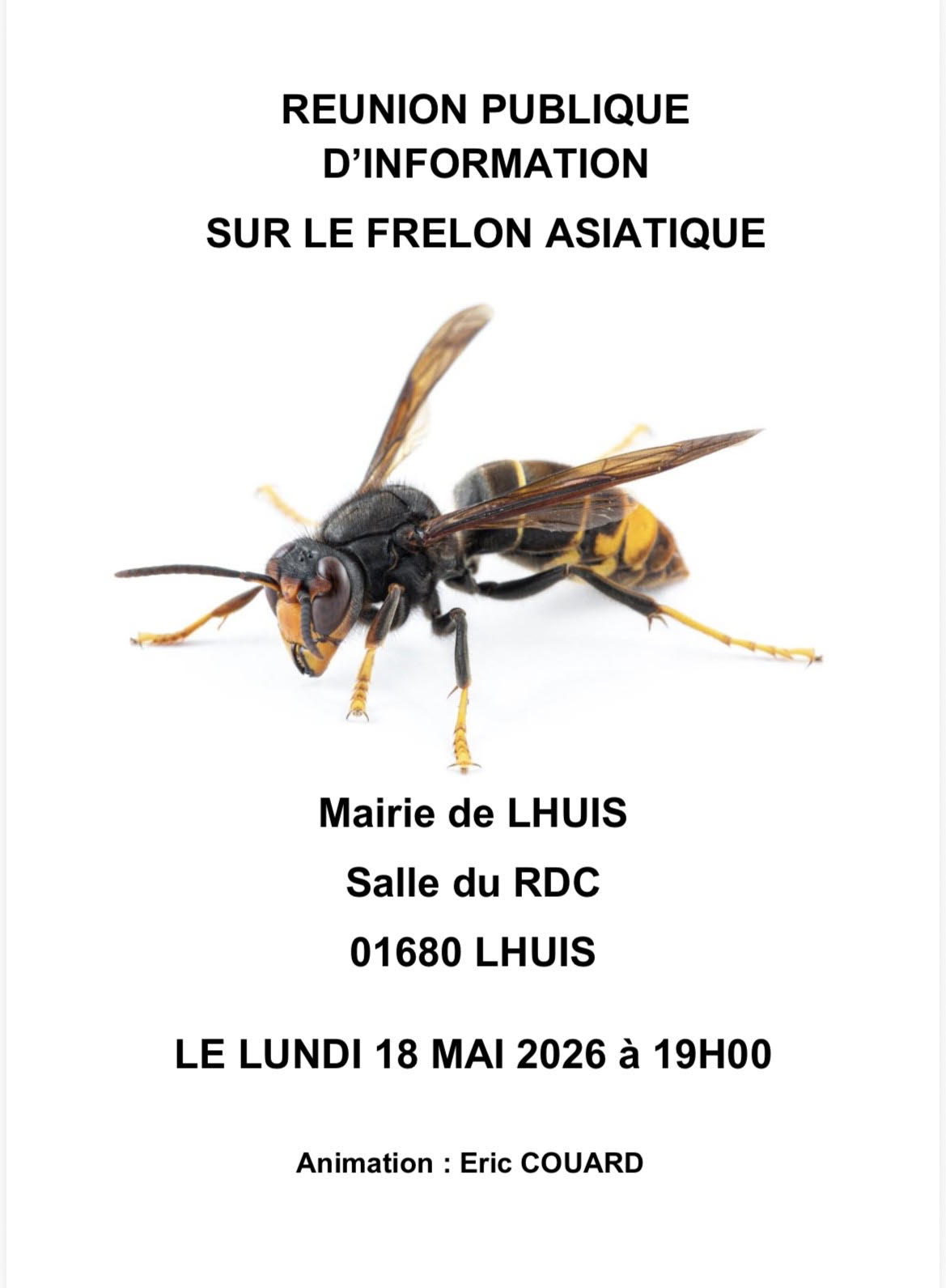 Info Frelon Asiatique.jpg