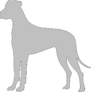 Silhouette chien.jpg