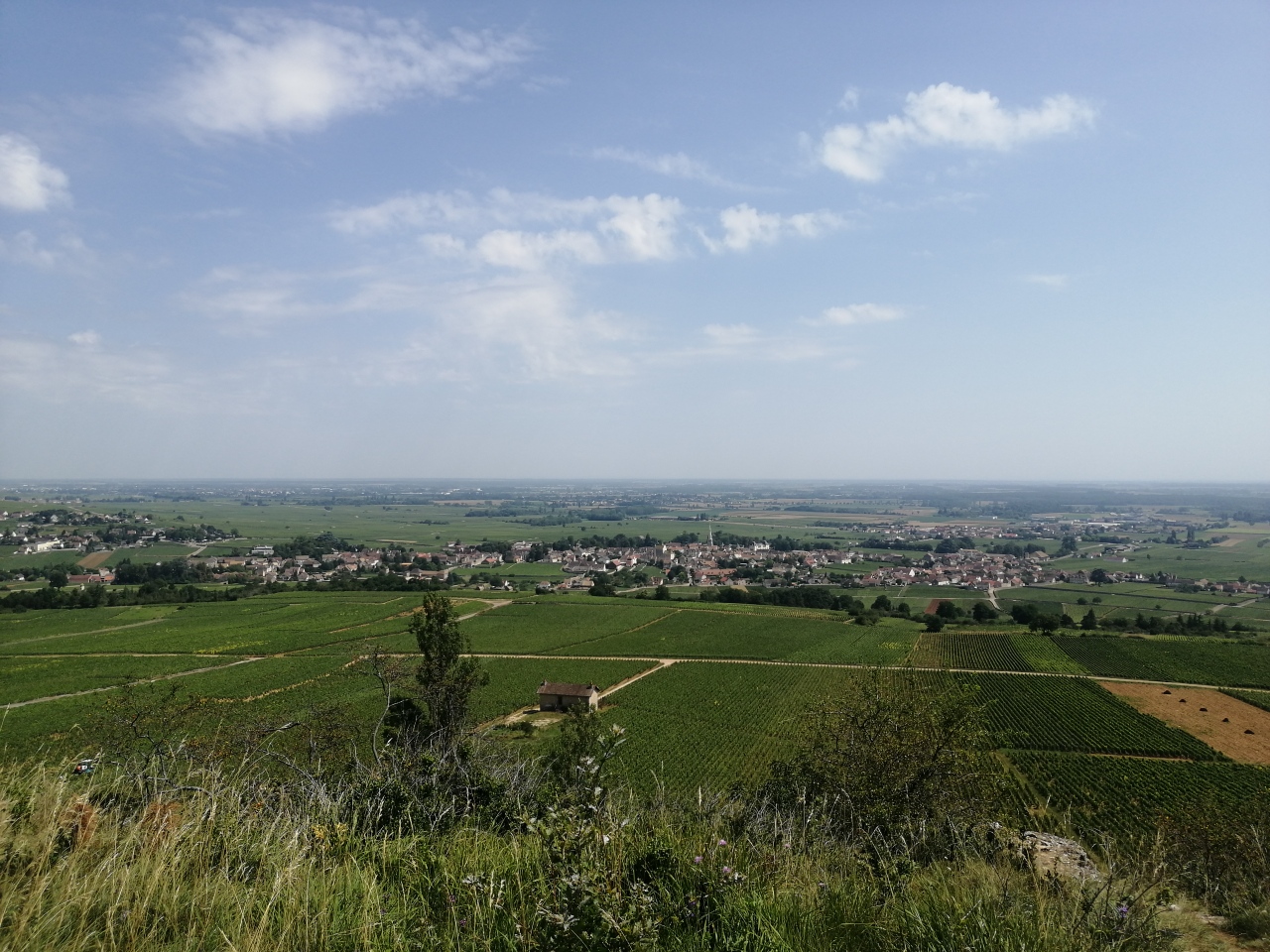 Meursault-vignoble-MC-agence-tourisme-Chagny.jpg