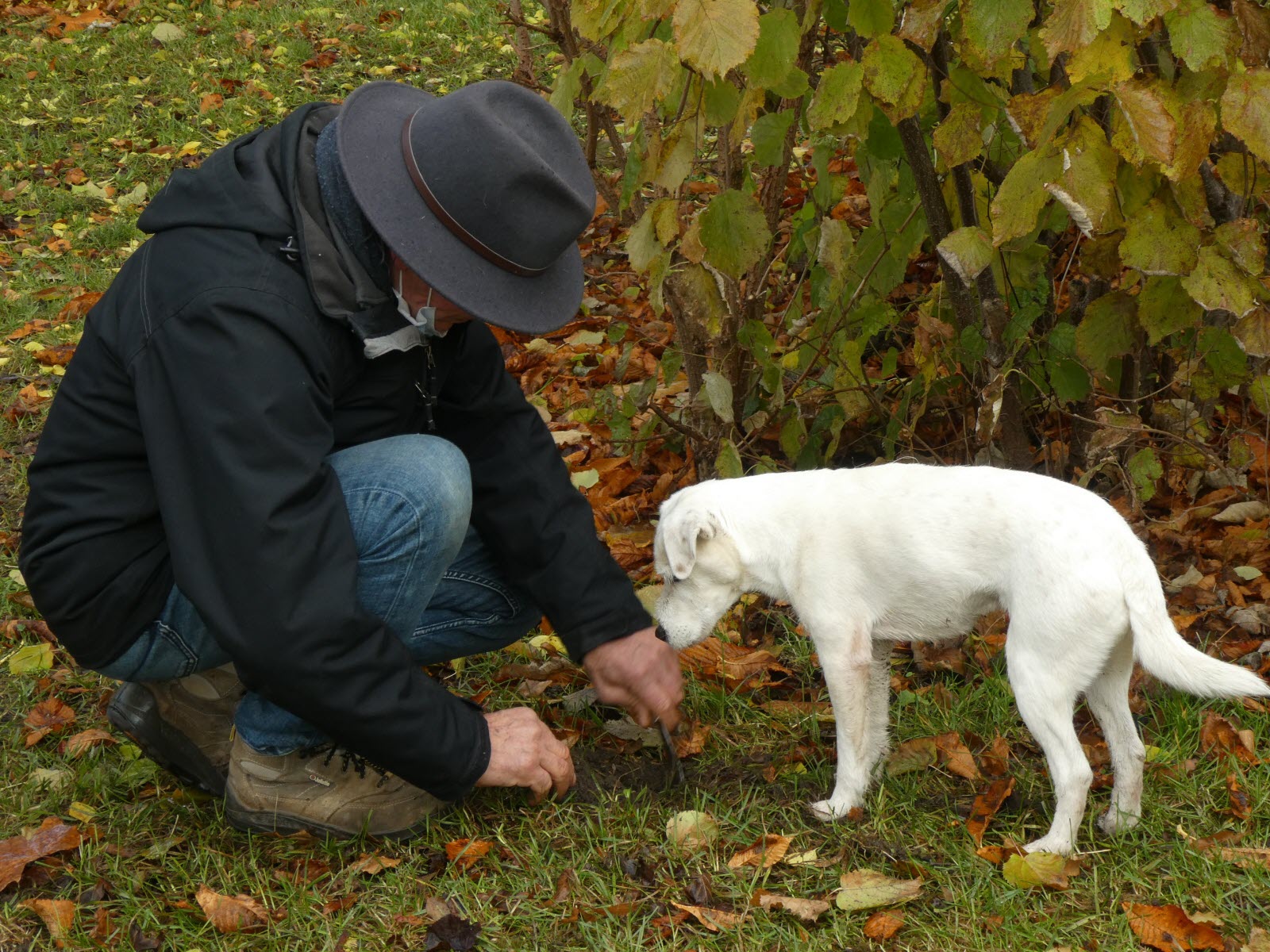 Marché_Truffes_2021-du-maitre-chien-photo-jsl-lydie-kounowski.jpg