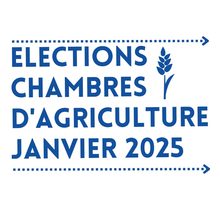 2024-07 election chambre agriculture 2025.jpg