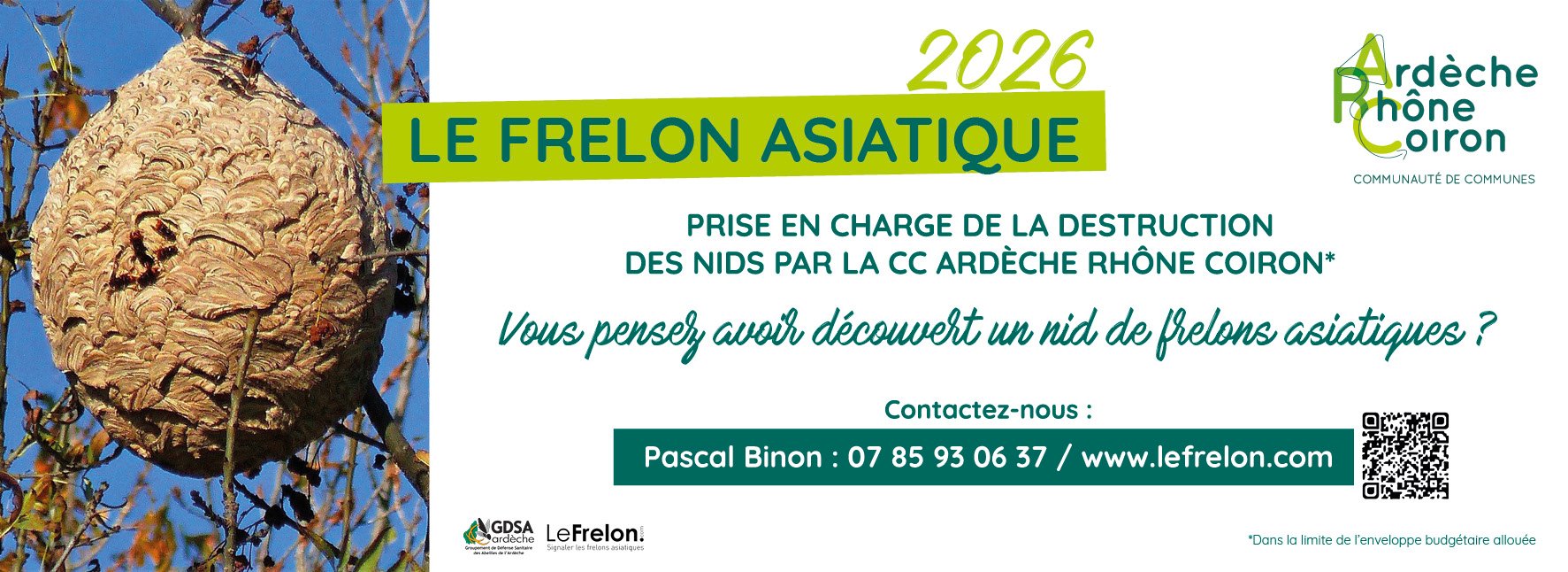 frelon.jpg