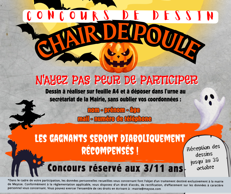 CONCOURS DESSINS FACEBOOK.png