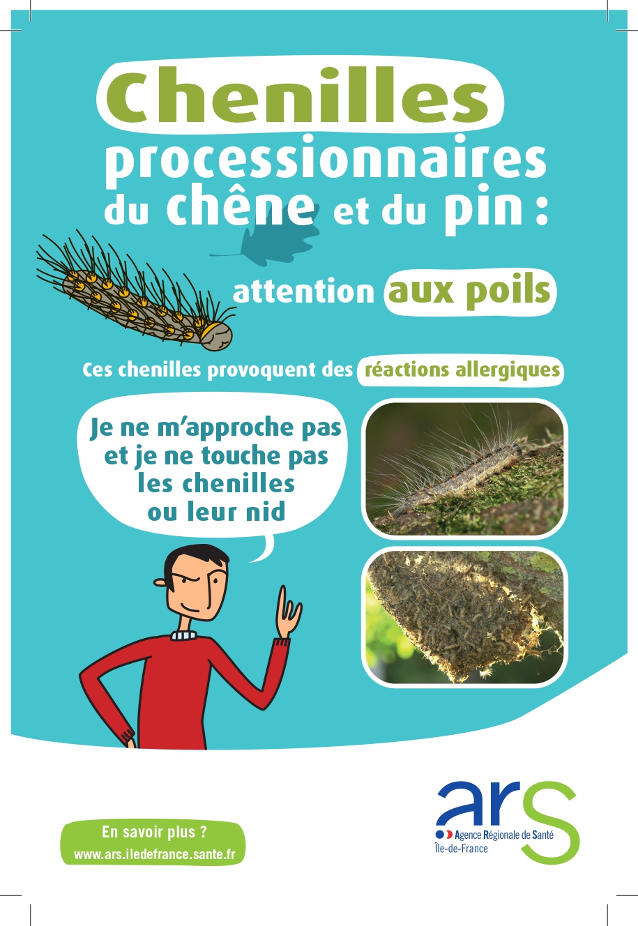 CHENILLES PROCESSIONNAIRES