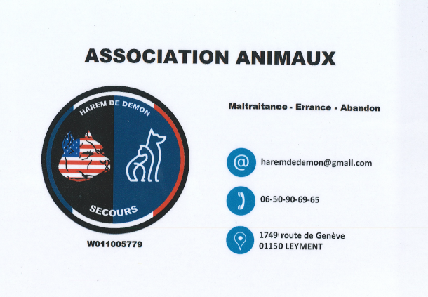 association animaux.png