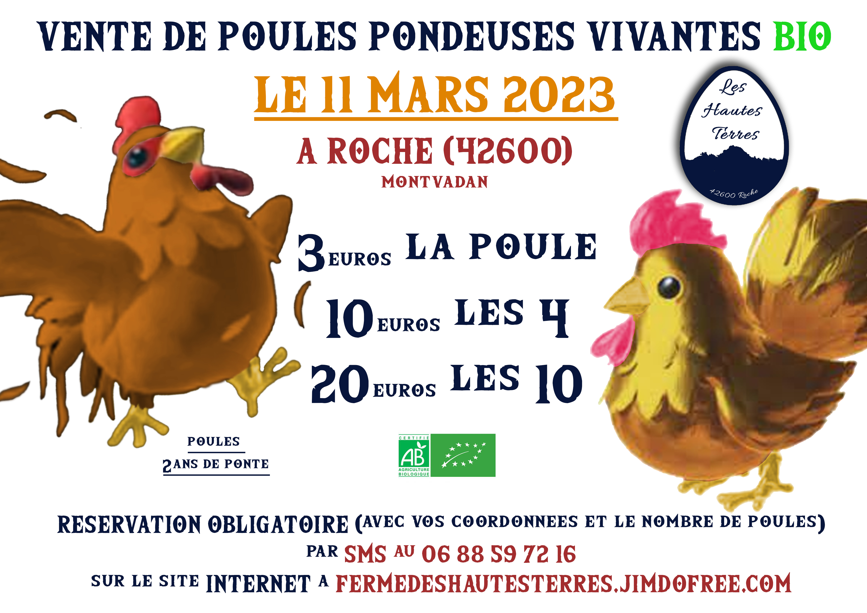vente poules vivantes2023-1.jpg