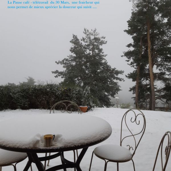 pausecafeefraicheur.jpg
