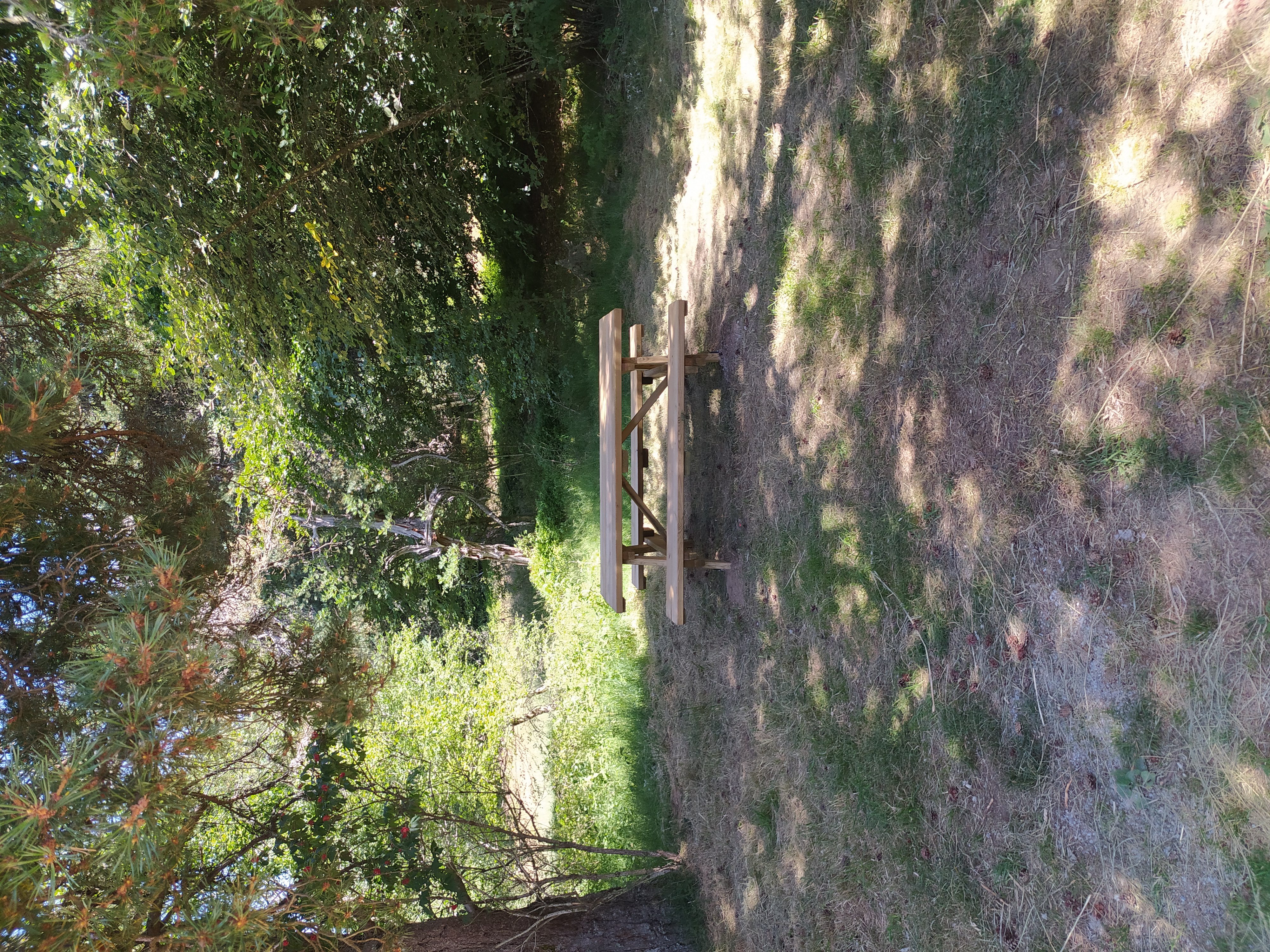 table de pique nique des cinq fonts.jpg