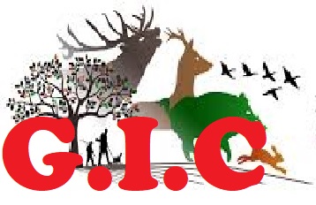 logo-gic.jpg logo-gic.jpg