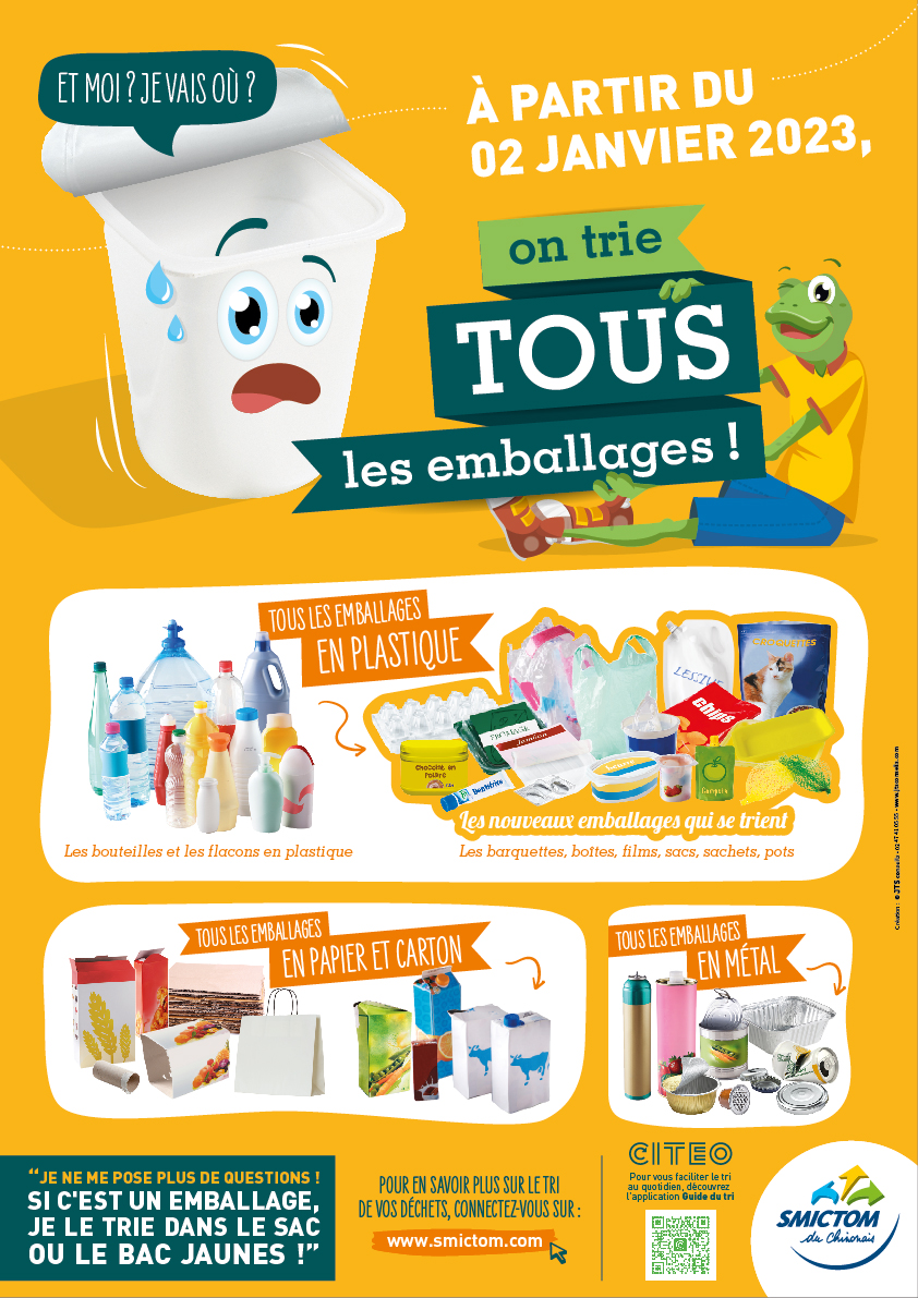 SmictomChinonais_affiche1_BD.jpg