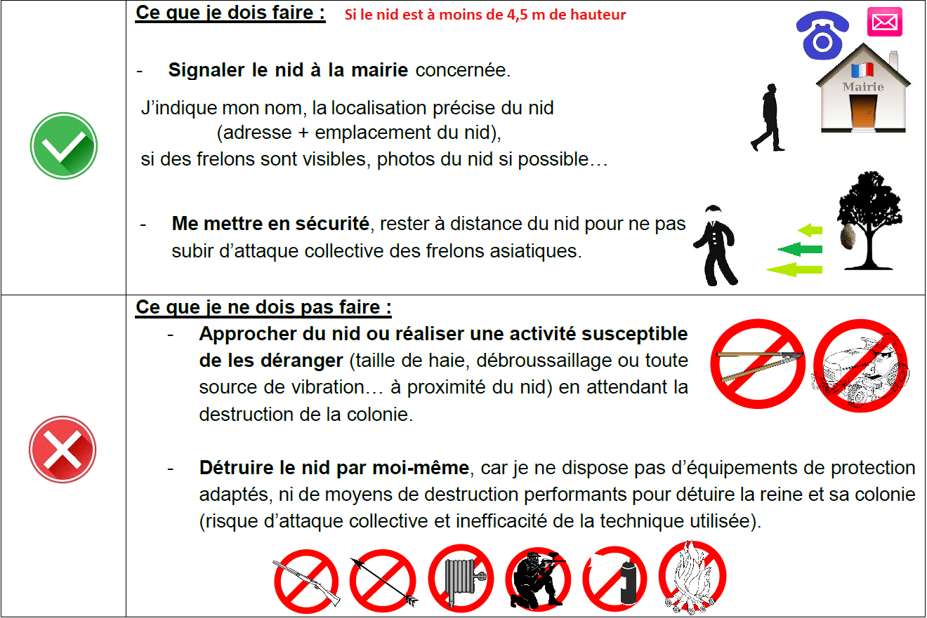 Fiche Que faire.jpg