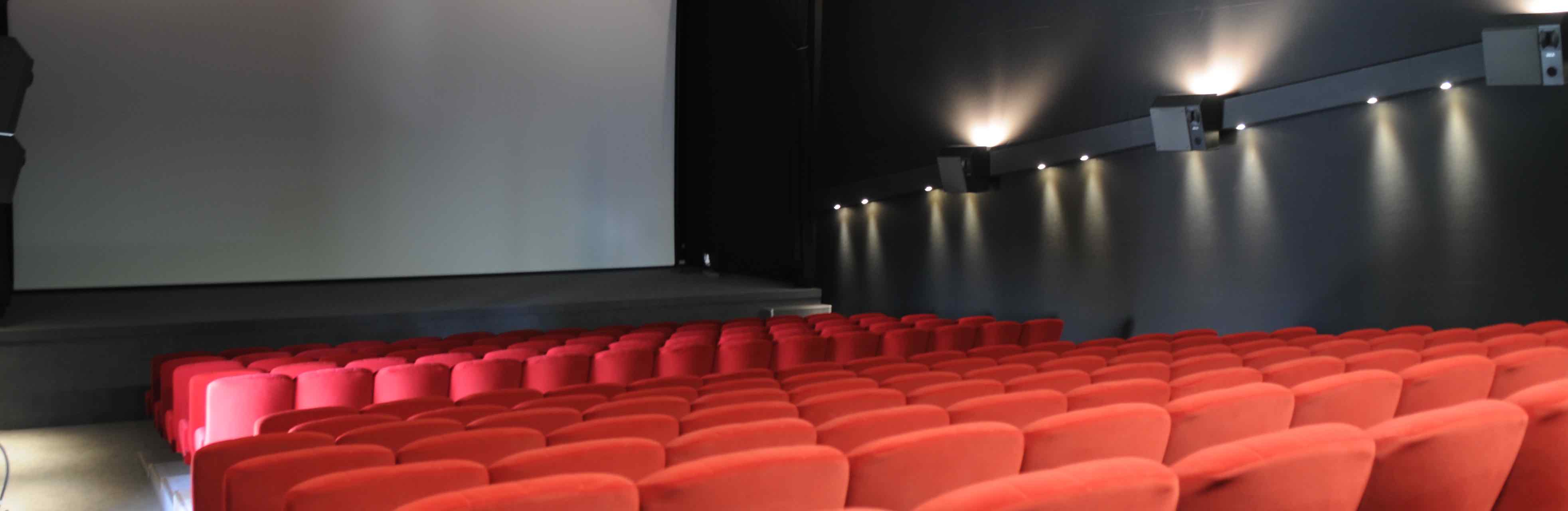 salle ciné 1web.jpg
