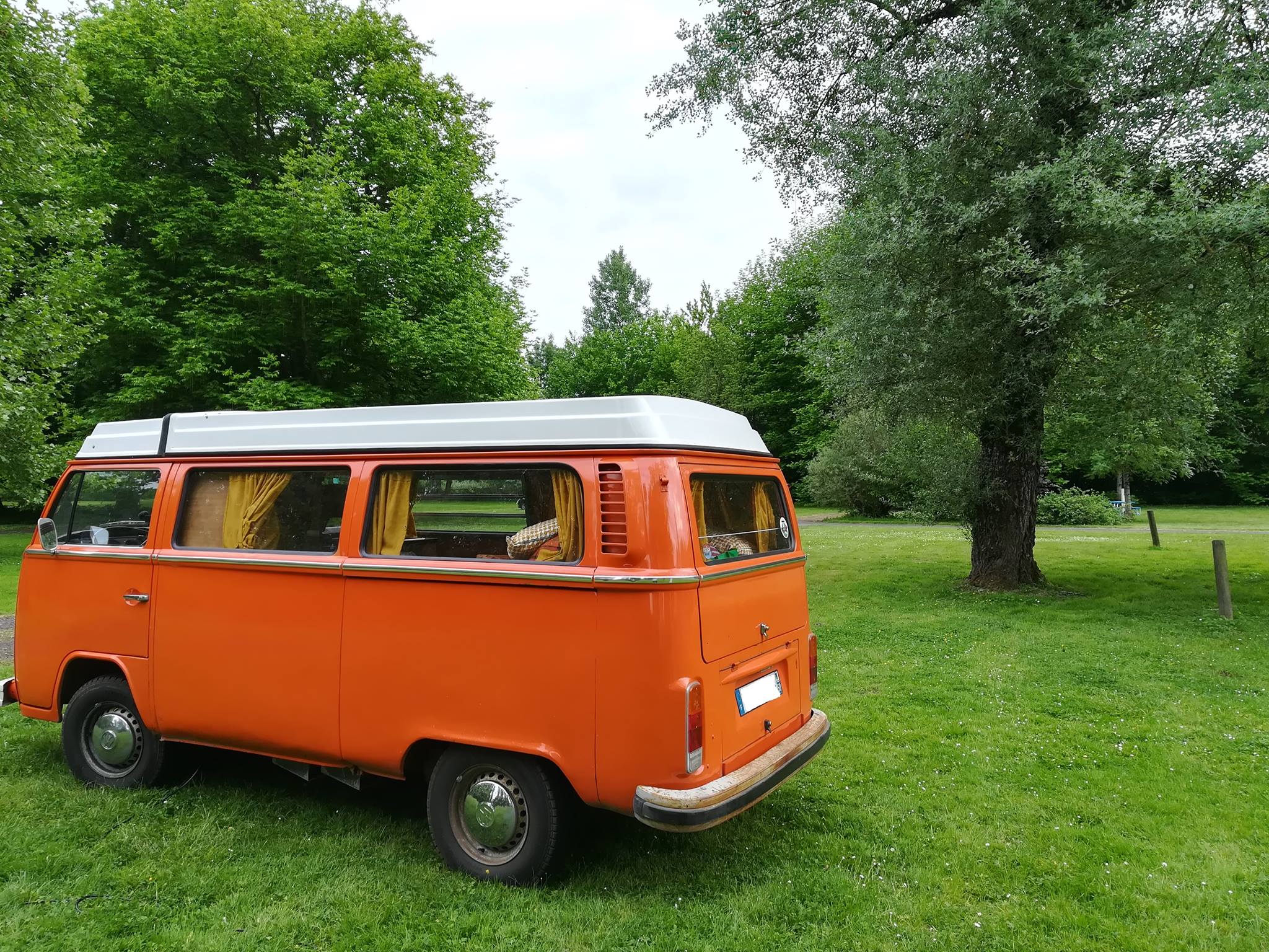 camping - van.jpg