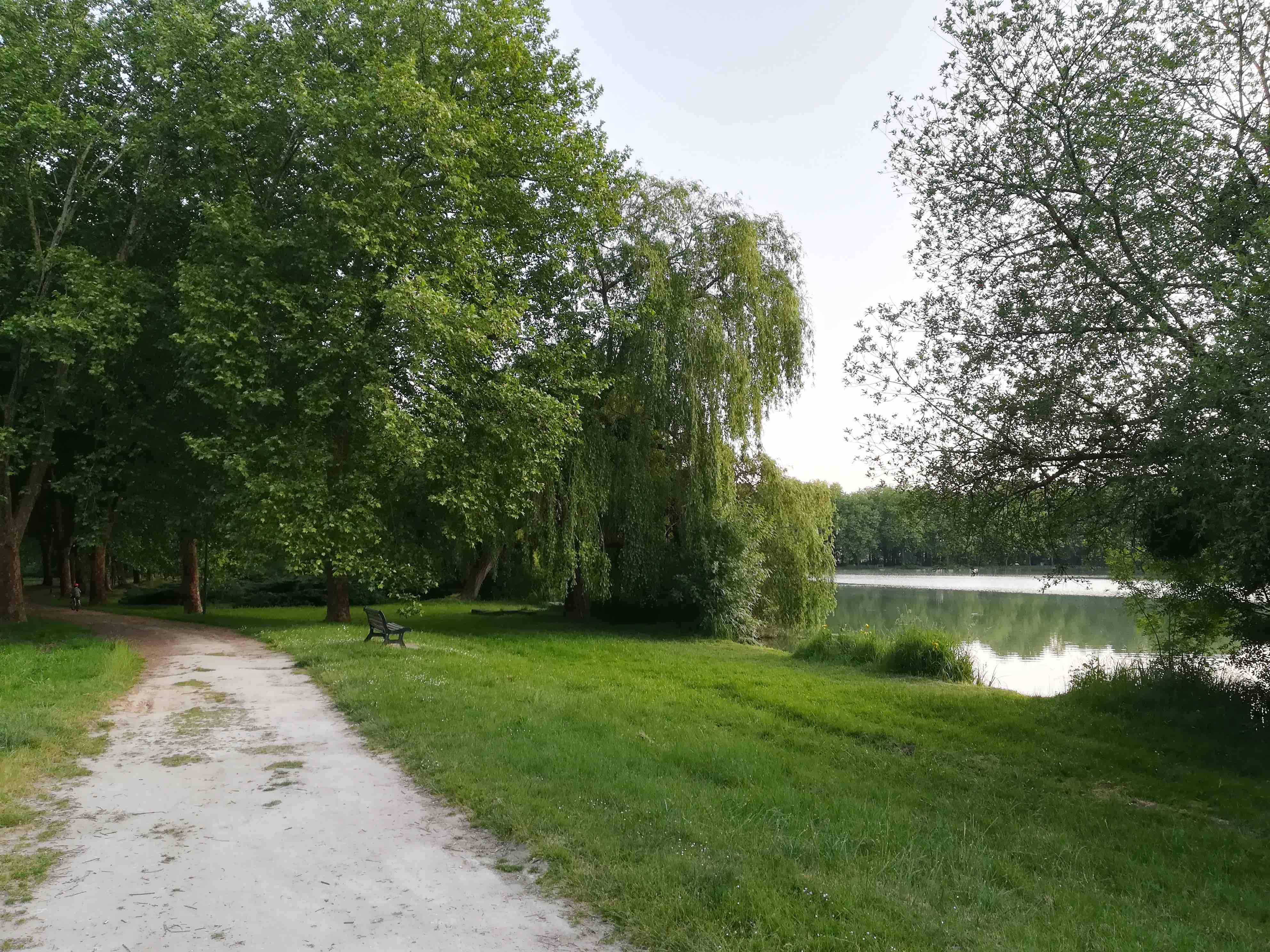 camping lac.jpg