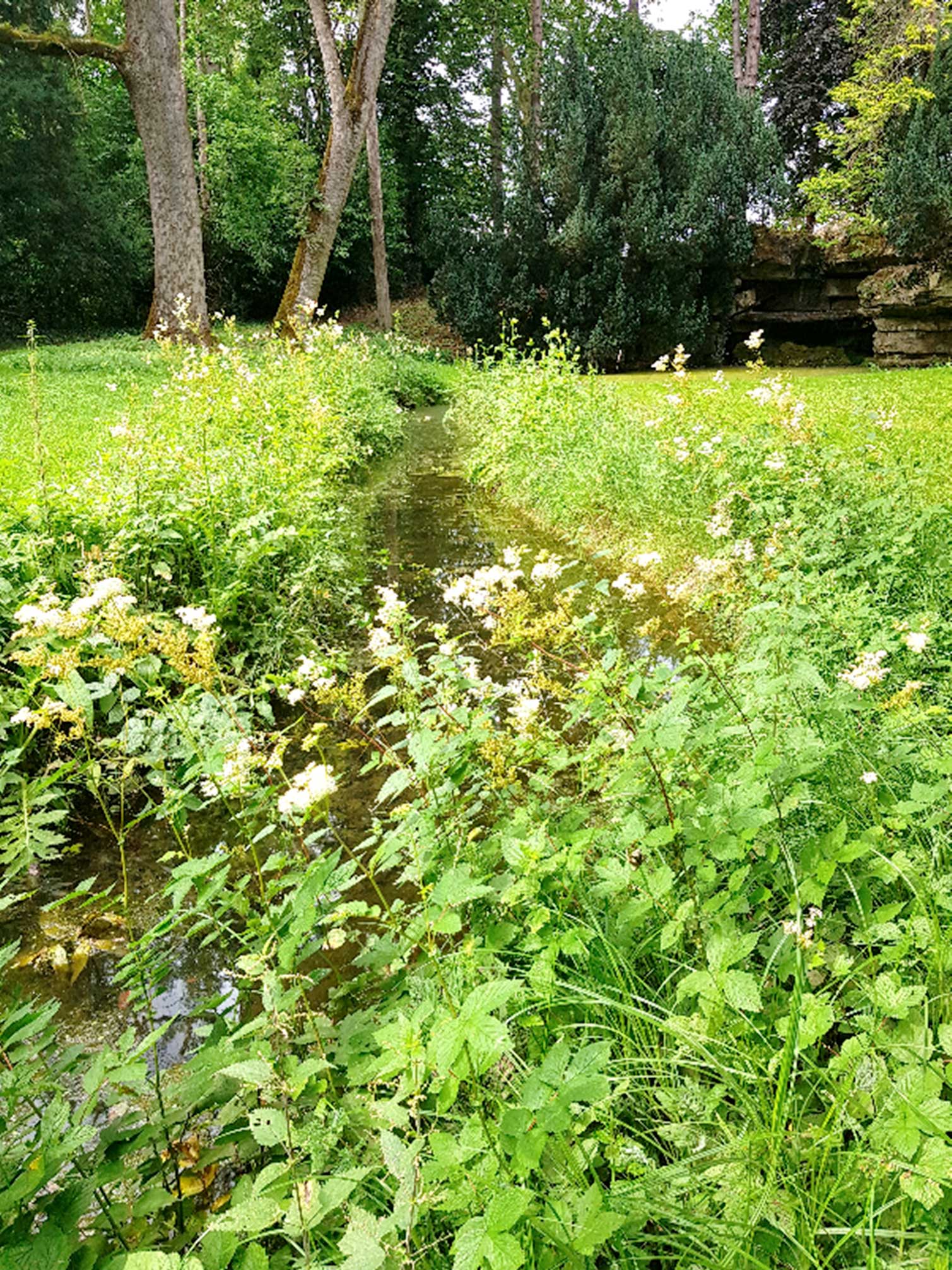 Environnement-3.jpg