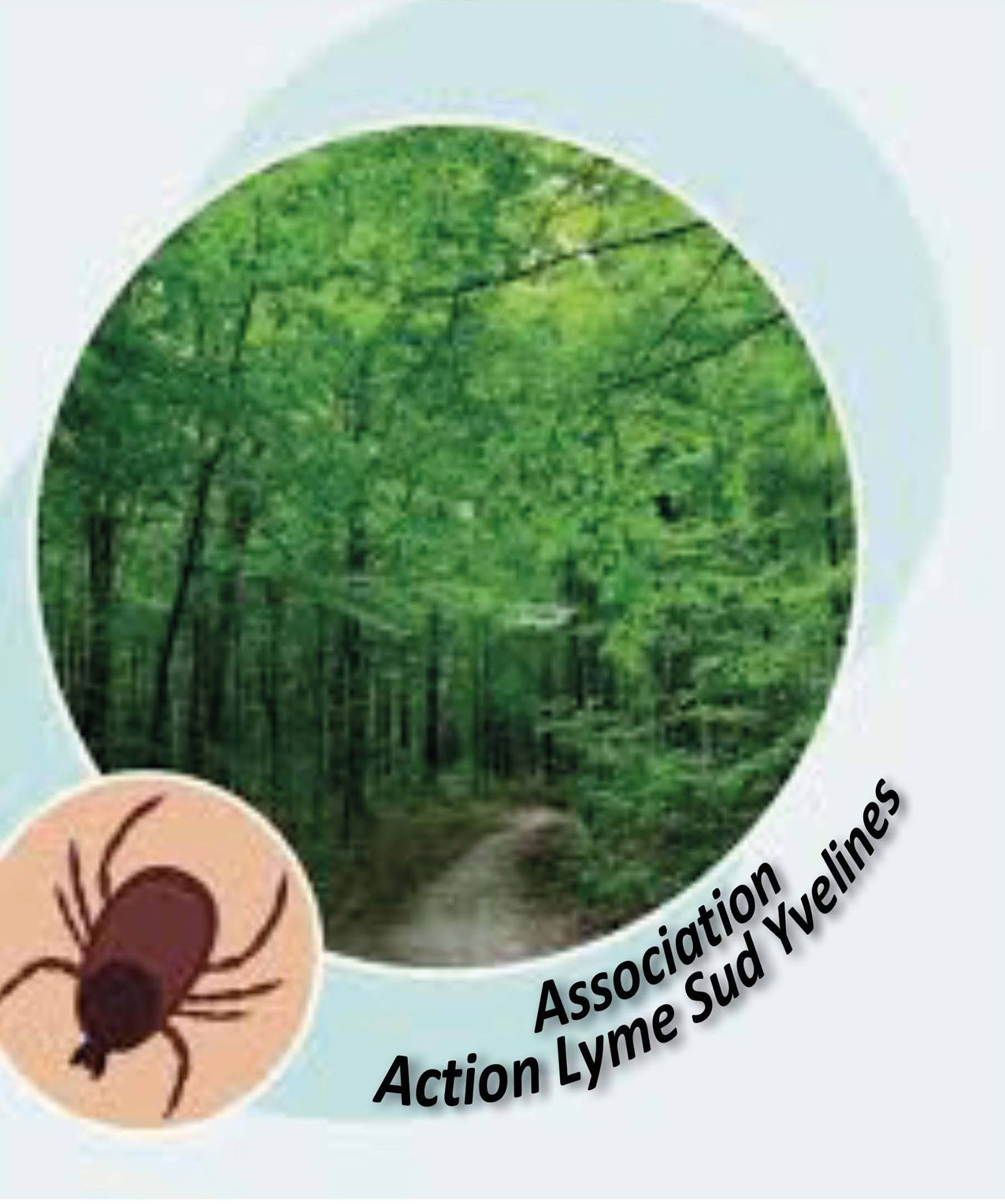 Action-Lyme.jpg