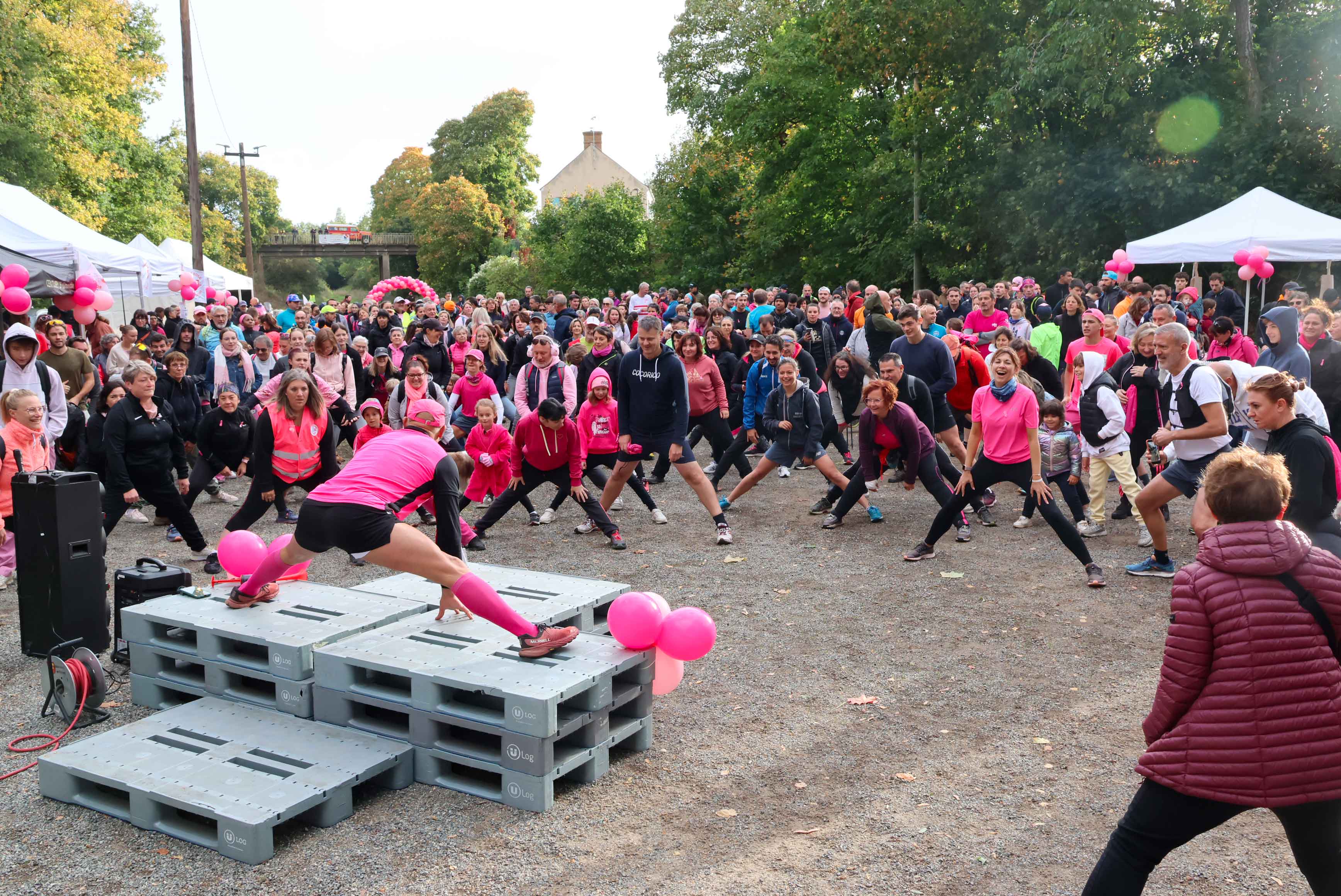 octobre-rose.jpg
