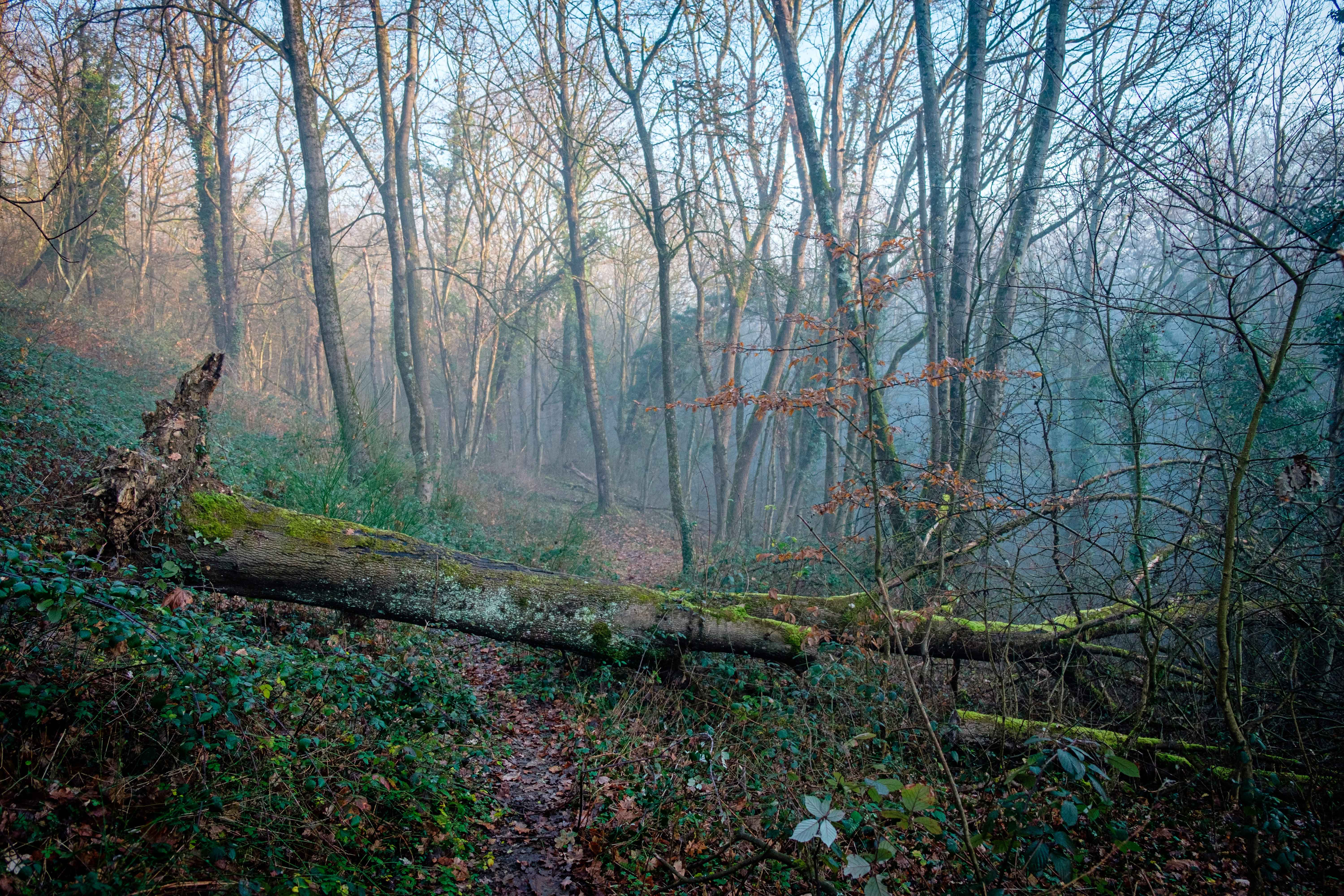 AdobeStock_702060473.jpg