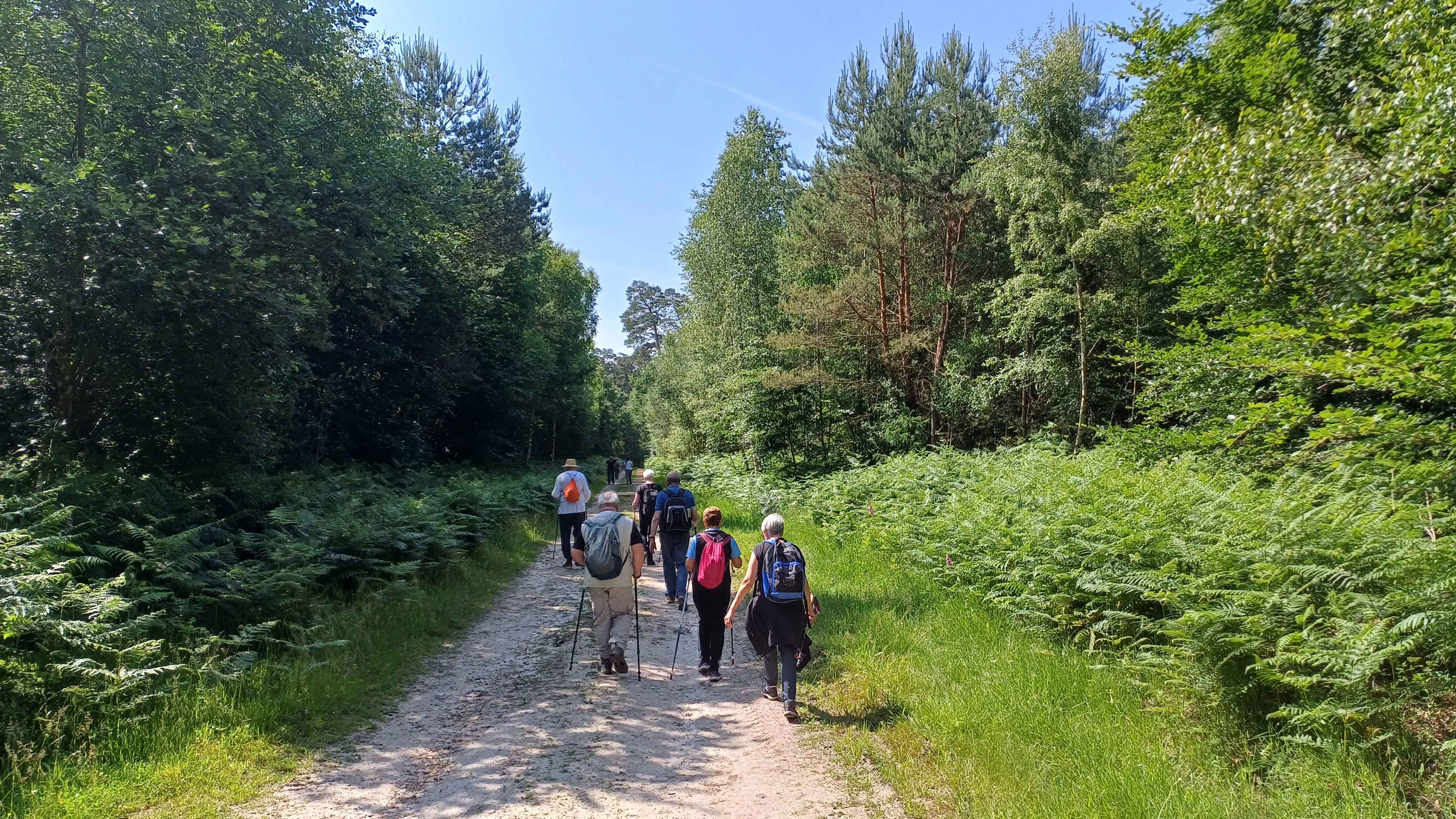 rando-accompagnée-ST-LEGER-04.25-_11_.jpg