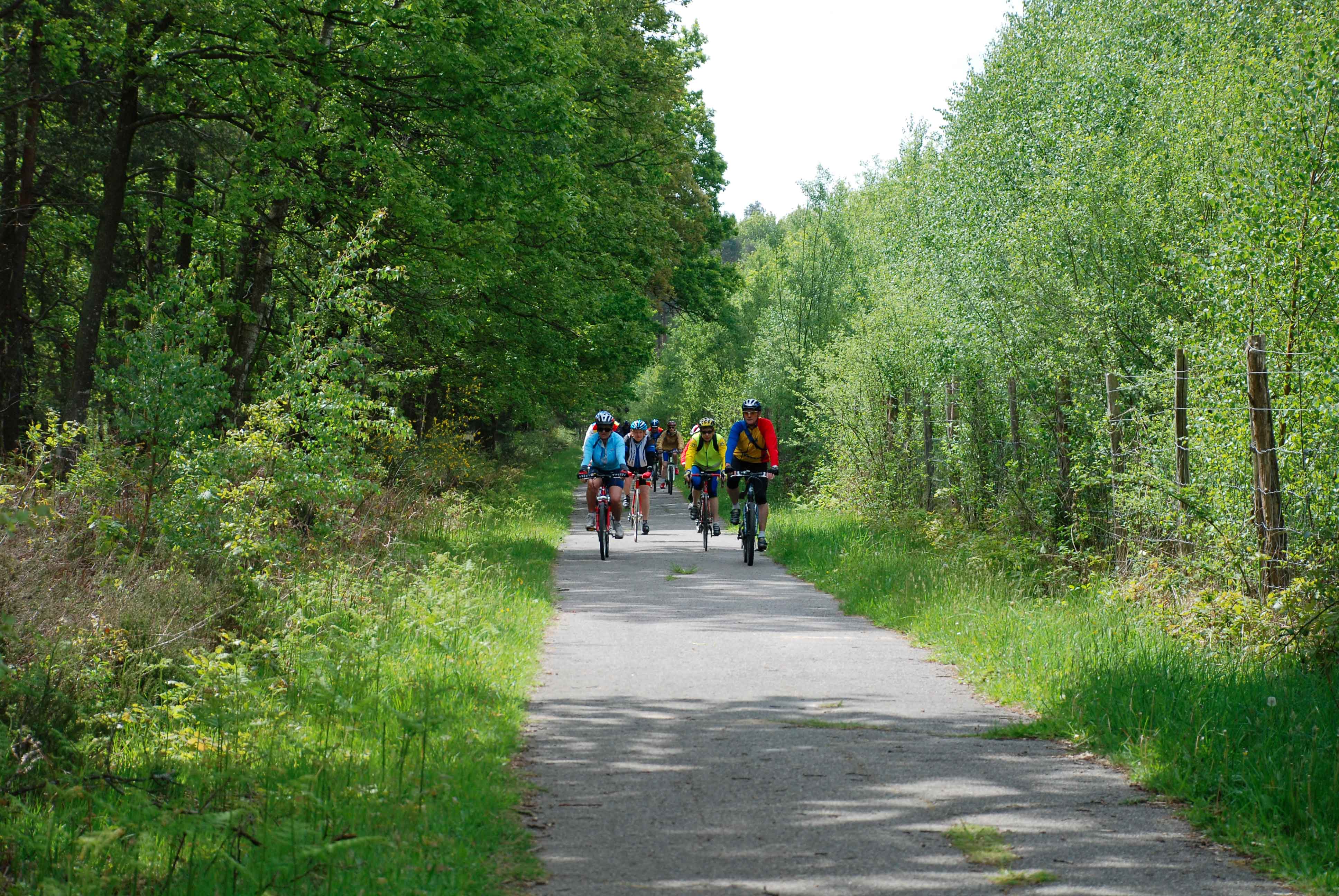 piste-cyclable-que-la-forêt-est-belle.jpg