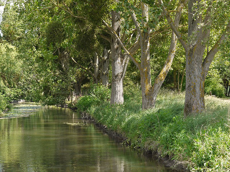 La_Rémarde_au_moulin_de_Trévoix_P1090360.jpg