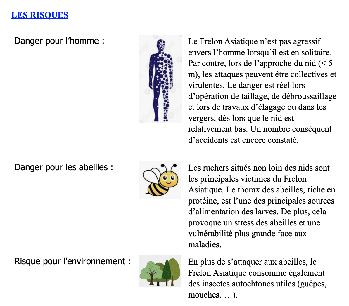Risques Frelons.png
