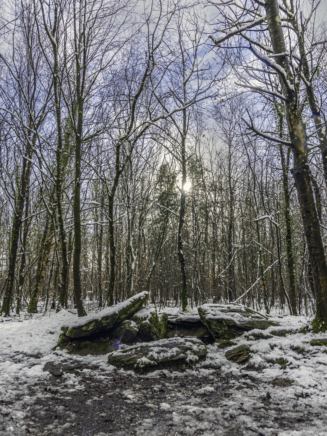 Tombeau des Géants _ JML_0971.jpg