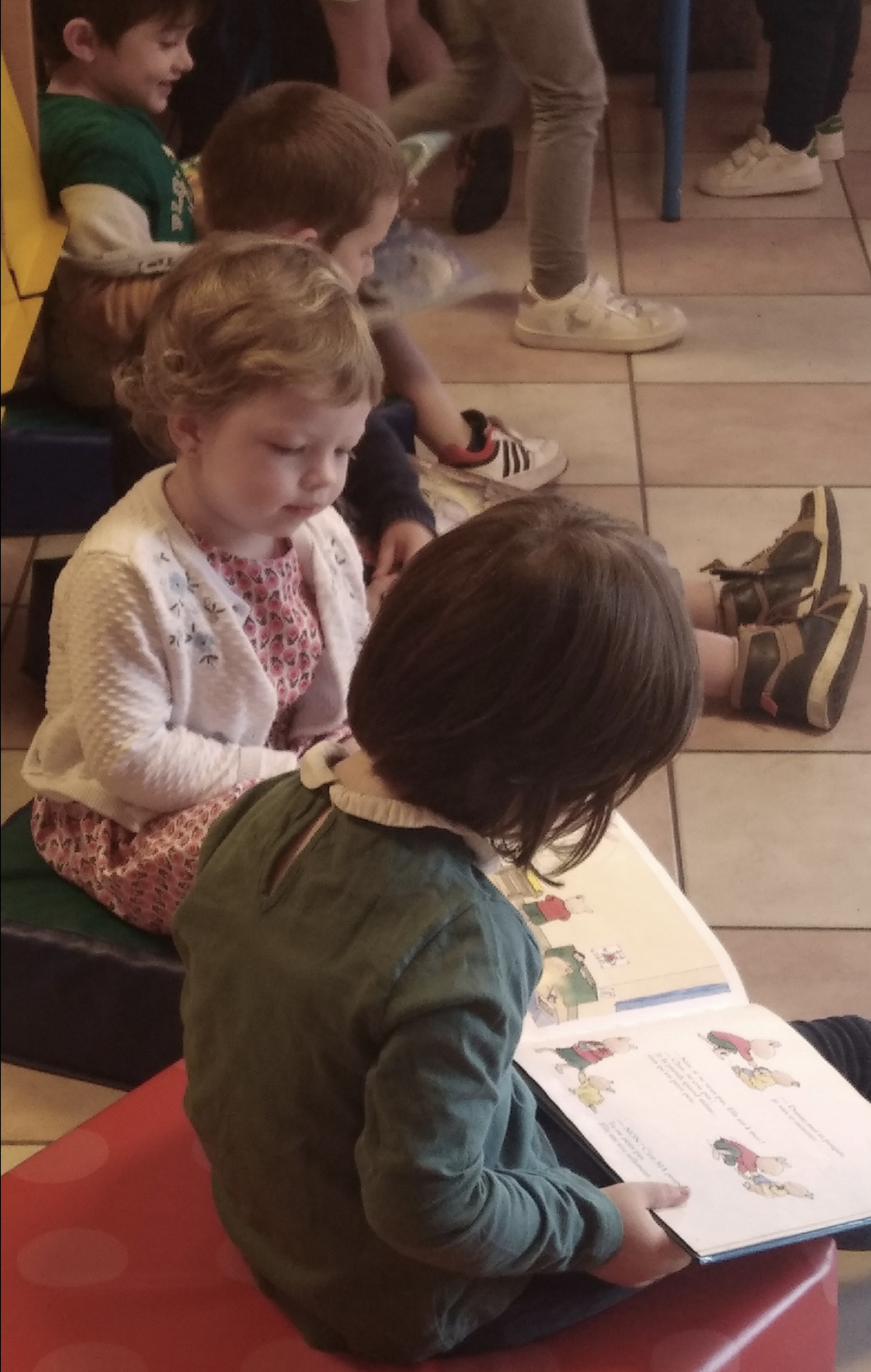 Oiseau lire _ accueil de classe.png