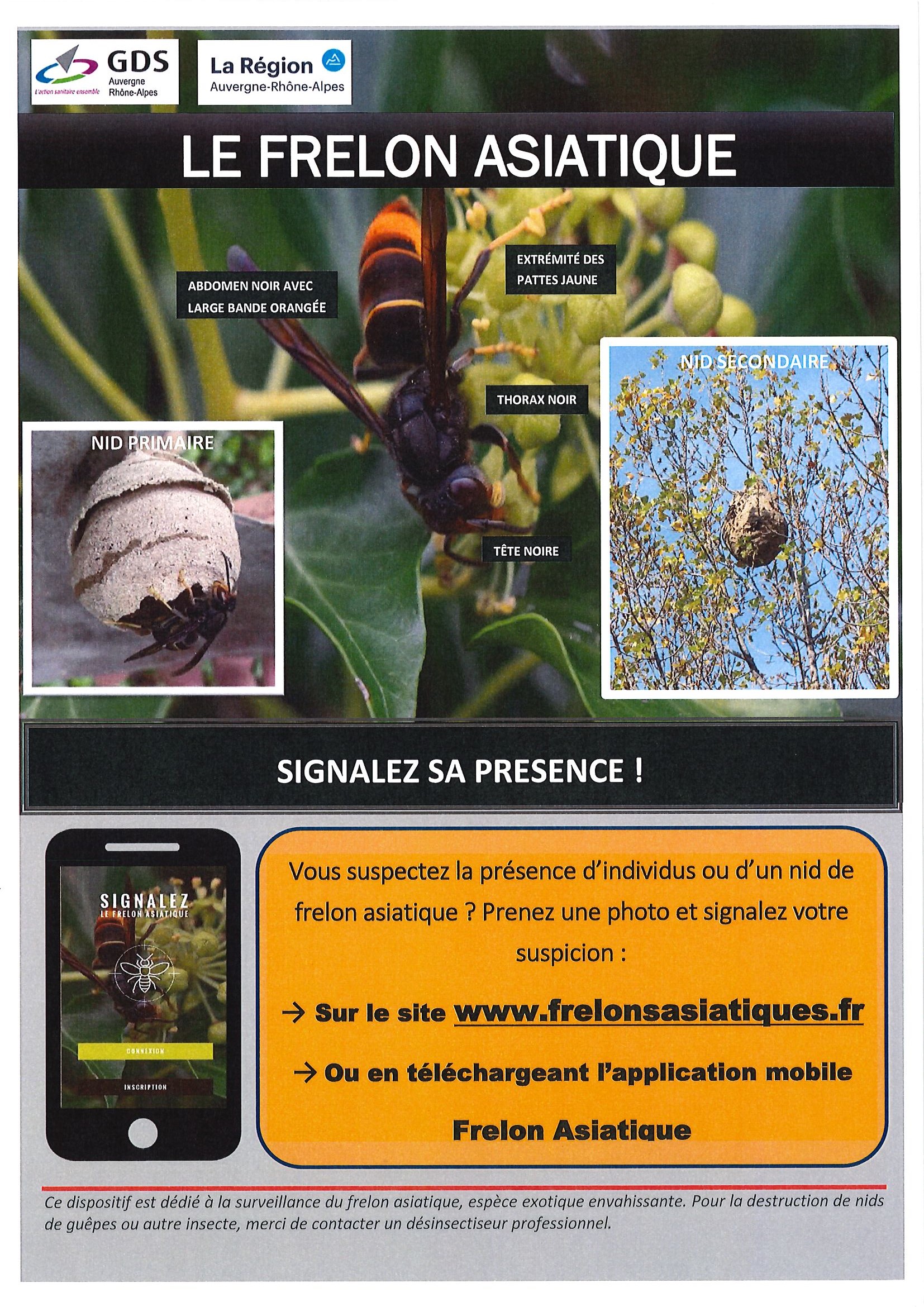 frelon 2020 3.jpg