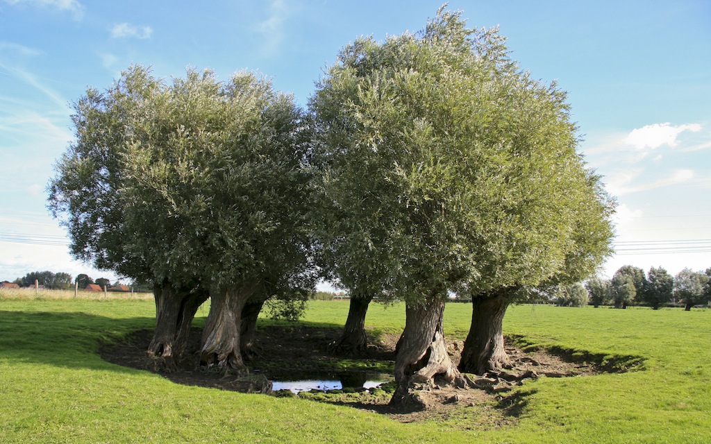 Circuit des mares.jpg