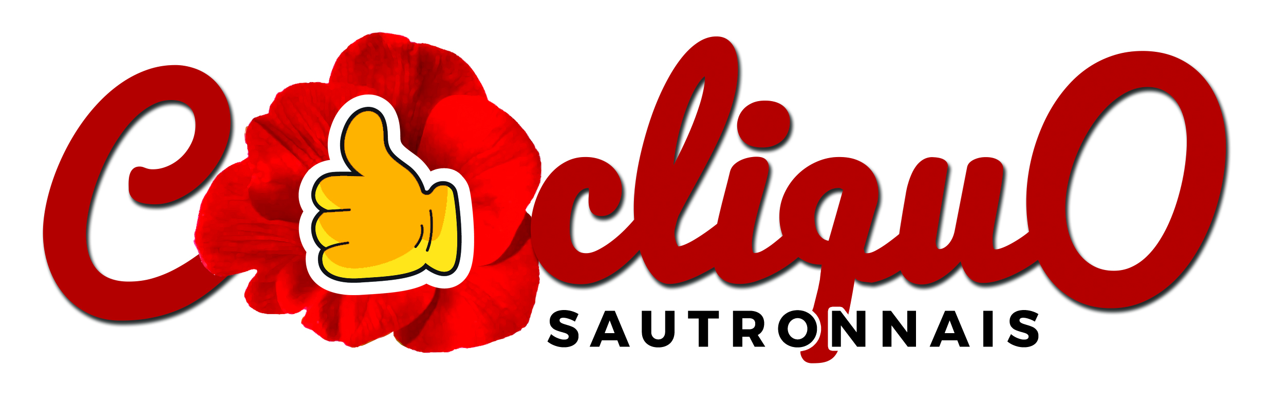 COCLIQUO logo Sautron.jpg