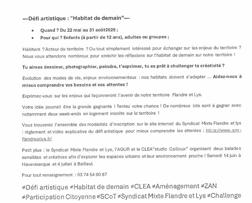 défi artistique.JPG