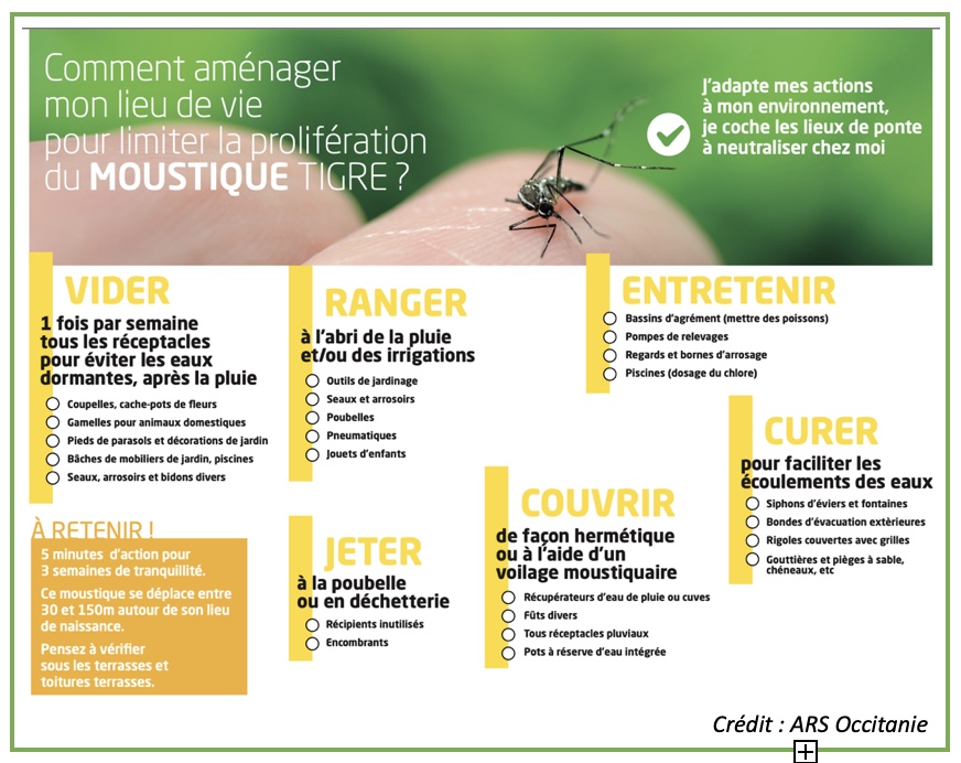 Actions moustique tigre.jpg