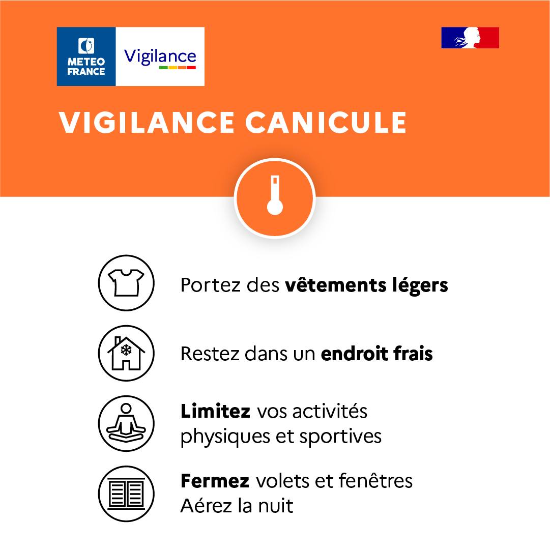 canicule 1.jpg