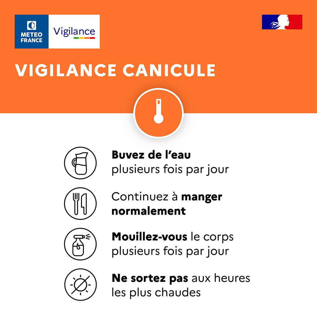 canicule 2.jpg