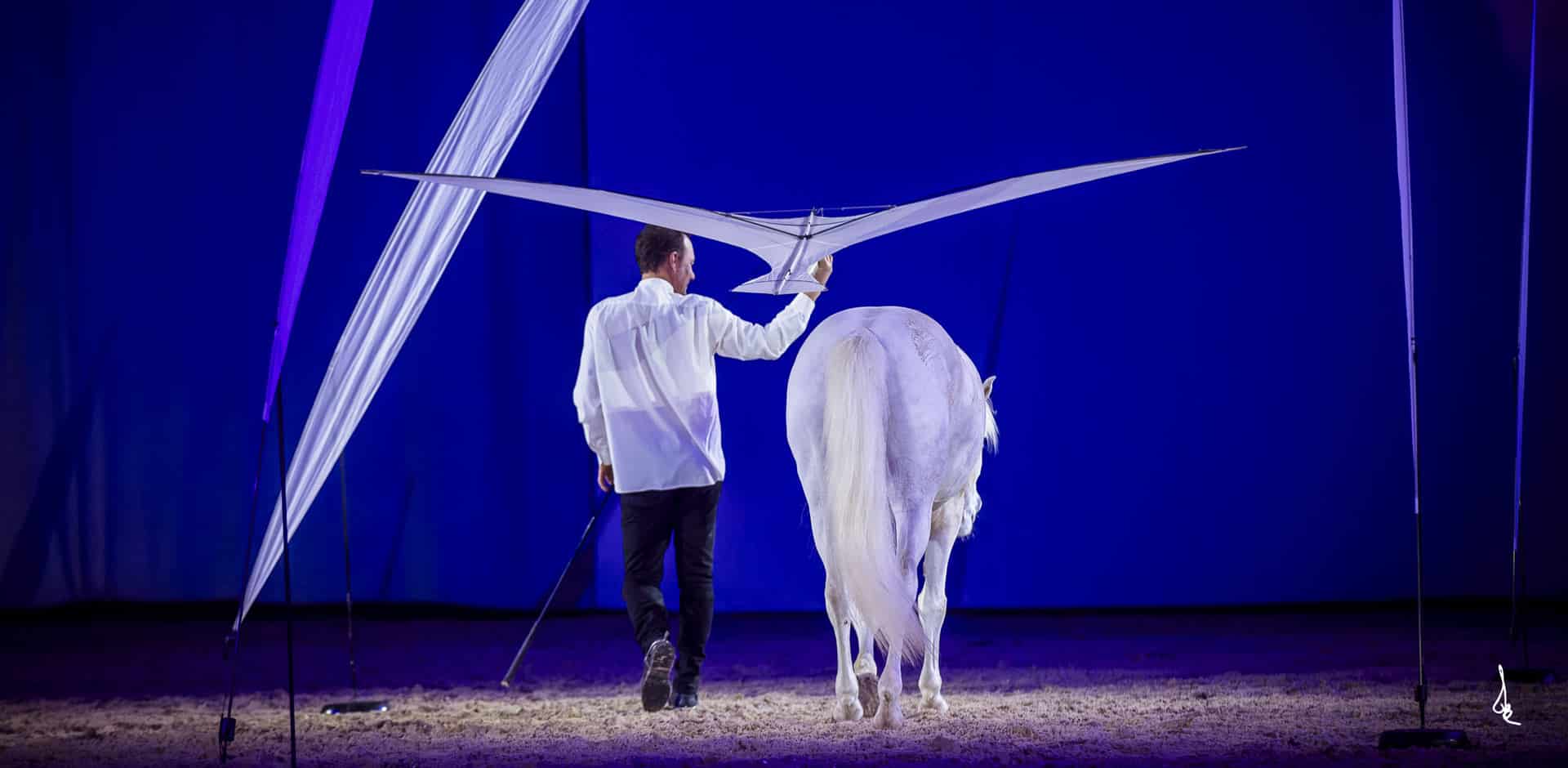 Spectacle-Equestre-Andjai-Evolutions-01.jpg
