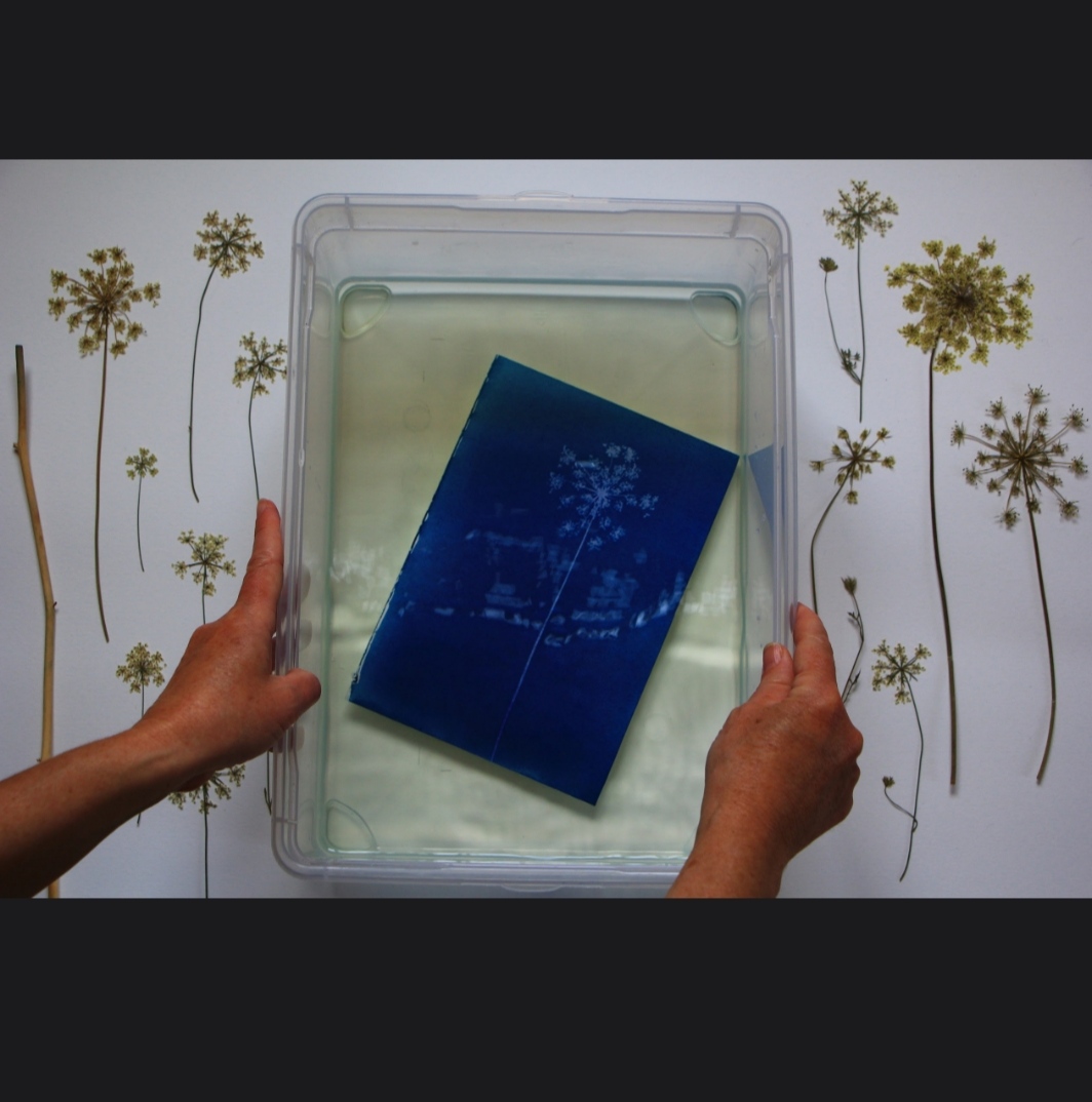 cyanotype_atelier2.jpg