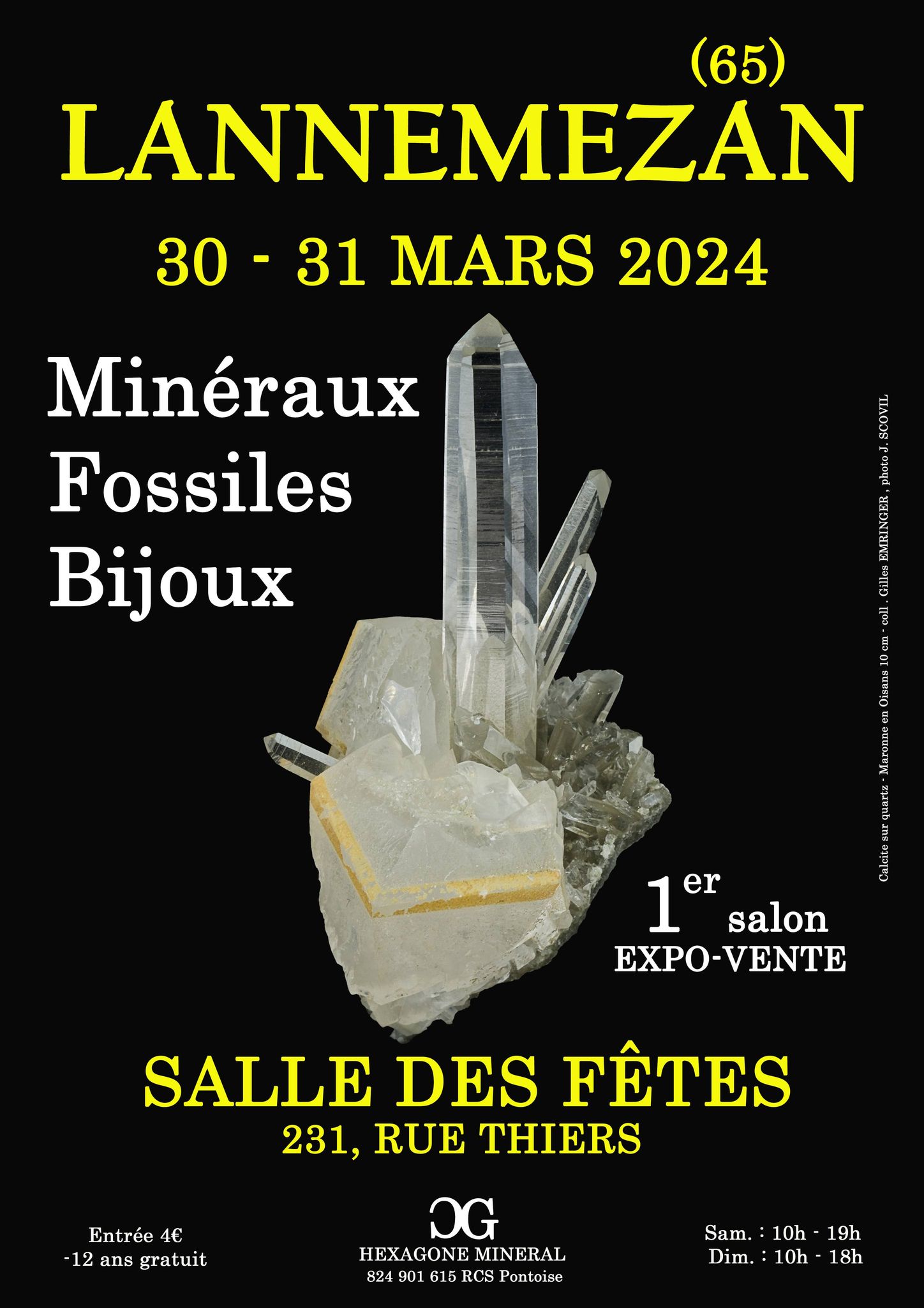 Affiche1er Salon Minéraux Fossiles Bijoux de Lannemezan _Hautes-Pyrénées_.jpg