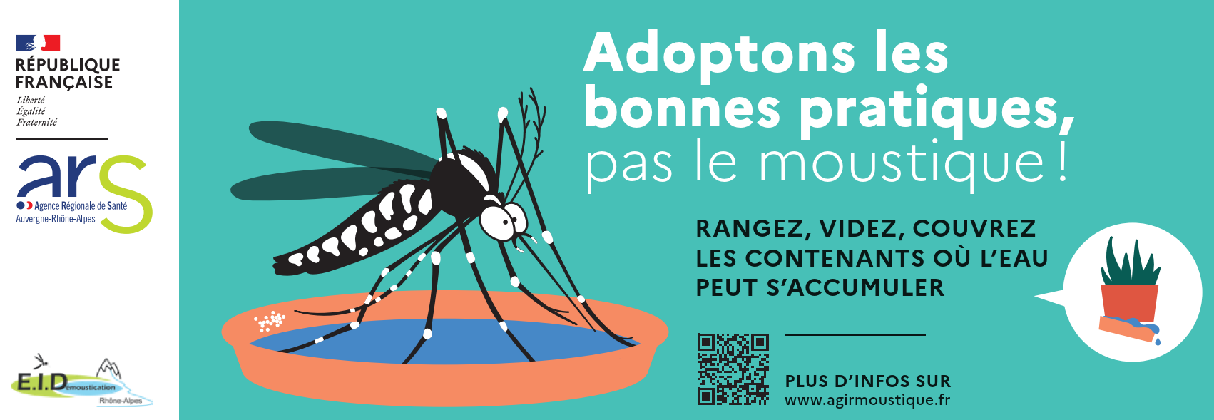 Moustique tigre pour la une.png