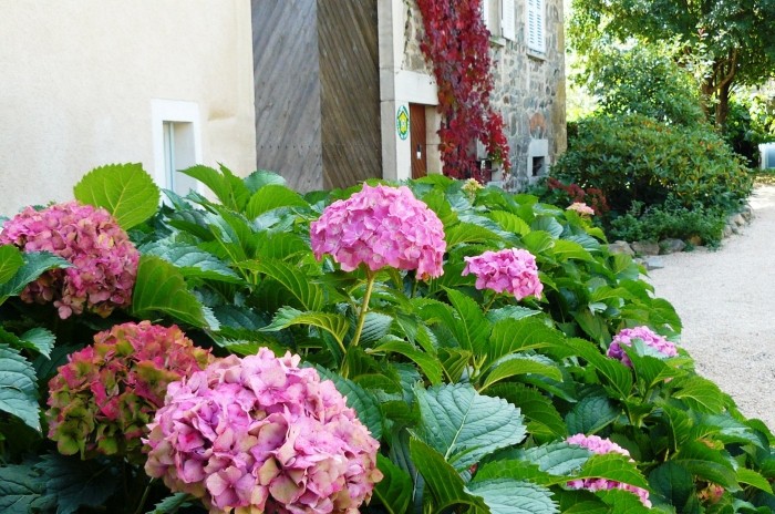 gite les hortensias accueil.jpg