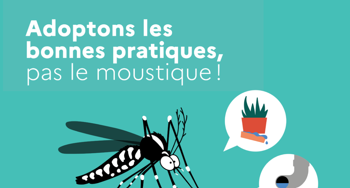 Moustique tigre.png