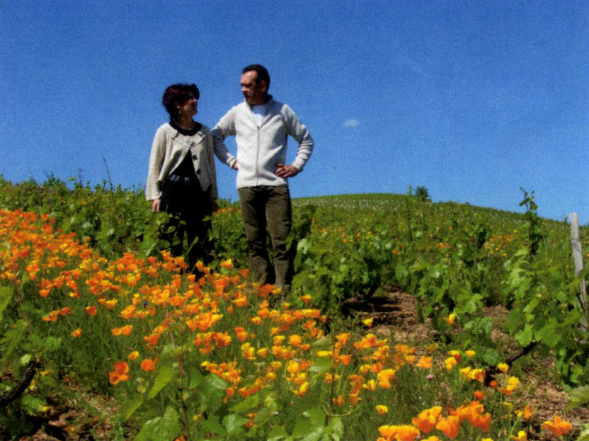 Domaine Longere.PNG