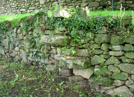 Escalier de vigne pour sortir des terrasses.png